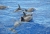DSC_0550k.JPG