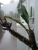 23.07.2010 017.jpg