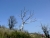 P1020300.JPG
