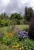 DSC_0072.jpg