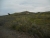 DSCN4400.JPG