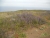 DSCN4401.JPG