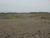 DSCN4402.JPG
