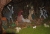 Weihnachtskrippe_Calheta_2013 - 51.jpg