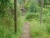 k-P1010877.JPG