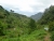 k-P1010880.JPG