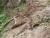 k-P1010935.JPG