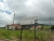 k-P1010814.JPG