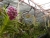 k-P1110757.JPG