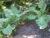 k-20150630_172908.jpg