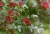 F10A9465_red.jpg