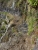 k-08.06. Nordkstenwanderung (63).JPG