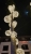 20151222_213319_Richtone(HDR).jpg