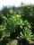 20160502_125849a.jpg