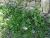 DSC09919 Kopie.JPG
