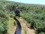 k-DSCN0920.JPG