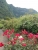 k-DSCN2690.JPG