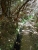 k-DSCN1955.JPG