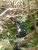 k-DSCN2006.JPG