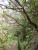 k-DSCN2007.JPG