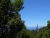 k-DSCN2019.JPG