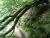 k-DSCN2083.JPG
