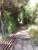 k-DSCN2141.JPG