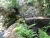 k-DSCN2147.JPG