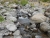 k-DSCN3586.JPG