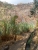 k-DSCN3550.JPG