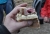 DSC_5774a.JPG