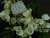 k-DSCN5282.JPG