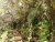 k-DSCN5502.JPG