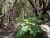 k-DSCN5534.JPG