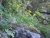 k-DSCN5543.JPG