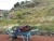 k-DSCN5723.JPG