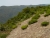 k-DSCN6999.JPG
