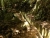 k-DSCN7159 - Kopie.JPG