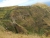k-DSCN7314.JPG
