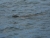 k-DSCN7373 - Kopie.JPG