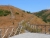 k-DSCN7489.JPG