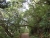 k-DSCN7585.JPG