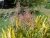 k-DSCN7783.JPG