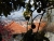 k-DSCN7799.JPG