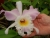 k-DSCN7830.JPG