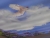 k-DSCN7888.JPG