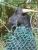 k-DSCN7921.JPG