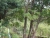 k-DSCN7931.JPG
