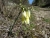 DSC09047.JPG