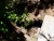 20180708_142023.jpg